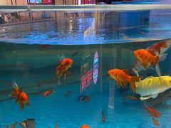 -辣得叫湘菜(四明店)