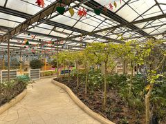 -南宫五洲植物乐园