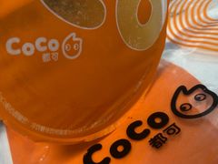 -CoCo都可(十全东店)
