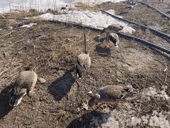 -新疆天山野生动物园