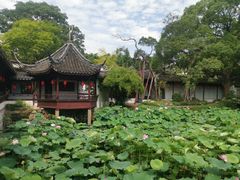 -上海醉白池公园