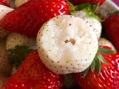 -GranVida生活超市(海信广场店)