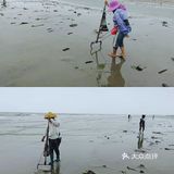 假期去哪玩？到湛江南三岛看海刮螺去