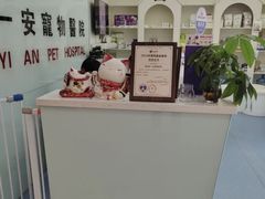 -特一安24小时宠物医院·骨科·中兽医
