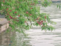 -西湖天地