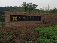 -大塘金香草谷