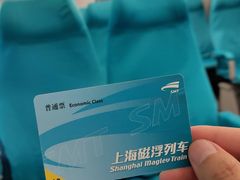 -龙阳路磁悬浮列车总站-停车场