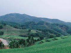 -牙胡梯田