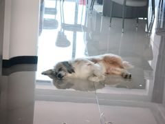 -鸣记脆皮烤鱼·海鲜烤鱼(亿合城店)