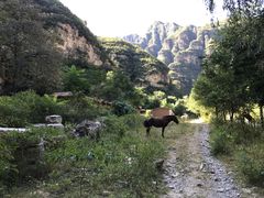 -孤山寨风景区