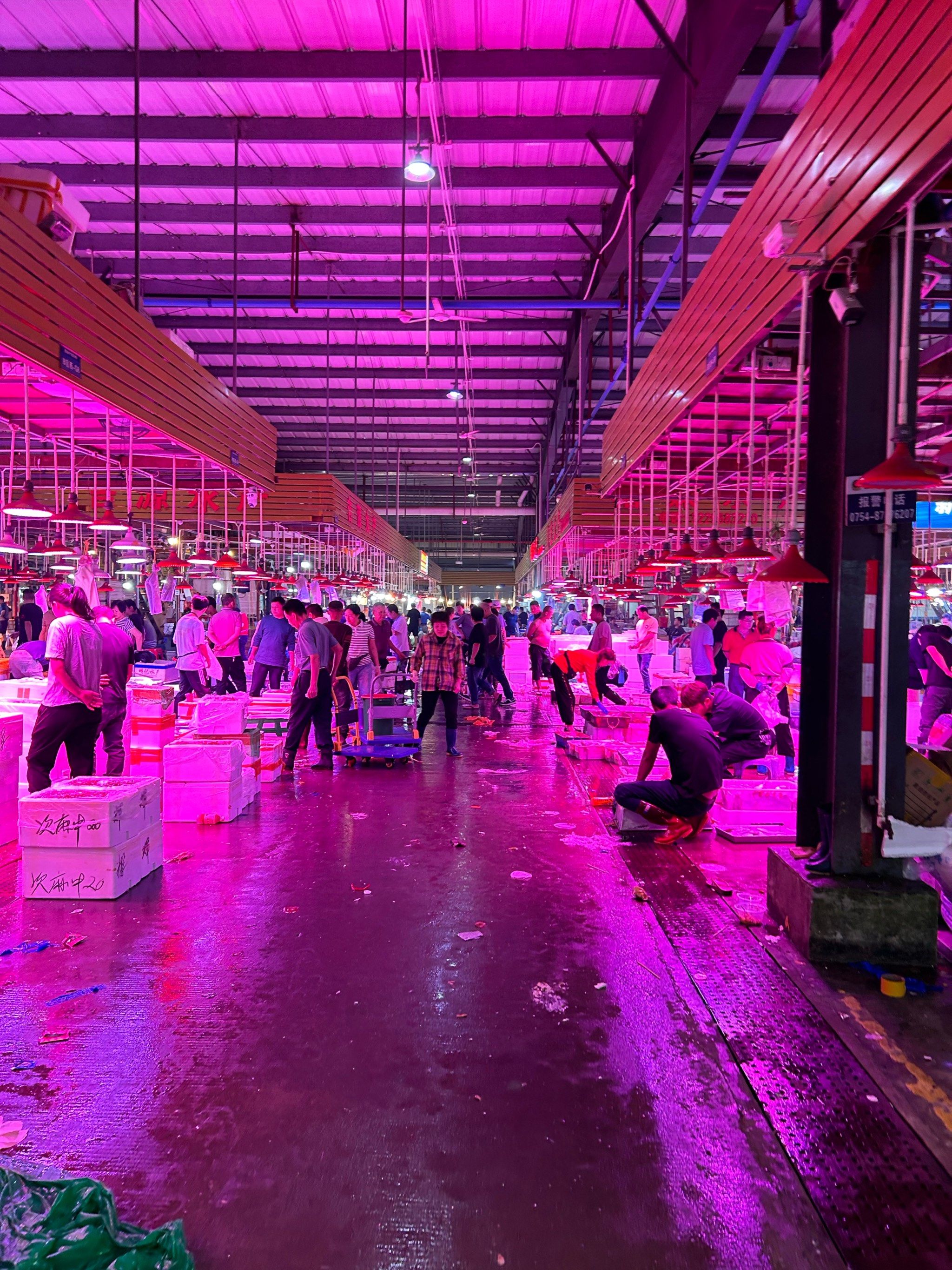 为什么批发市场都是晚上 为什么批发市场都是晚上