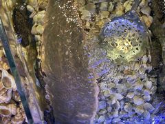 -金海湾海鲜排档(朱家尖店)