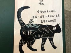 -喵屿·大理花园猫咖