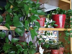 -魏铭鱼头捞饭(晋阳路店)