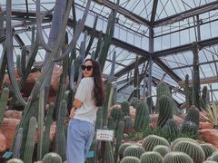 -华南国家植物园-售票处