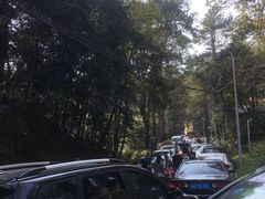 -缙云山景区