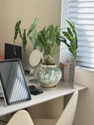 -安那般那皮肤年轻化ANAPANA