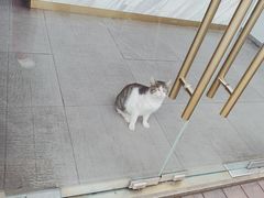 -UNI UNI(环亚凯瑟琳店)