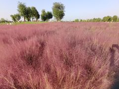 -汉长安城未央宫国家考古遗址公园