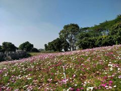 -松山湖南湖湾露营营地