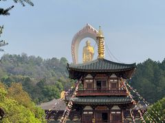 -庐山风景名胜区-东林大佛