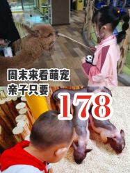 -七巧国萌宠乐园(龙湖天街店)
