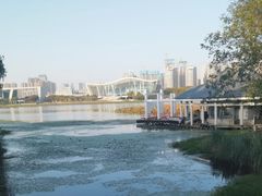 -月湖风景区