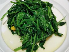 清炒豌豆尖-眉州东坡(国贸店)