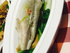 -邓丽君音乐主题餐厅