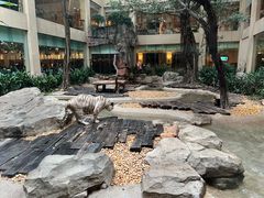 -白虎自助餐厅·真老虎·景观自助餐厅(广州长隆酒店)