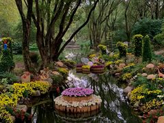 -上海共青森林公园