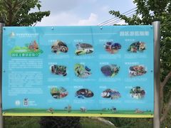 -泉州海丝野生动物世界