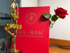 -舞霖精灵国际舞蹈教育中心(华创生活广场店)