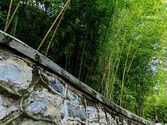 -大觉寺-停车场