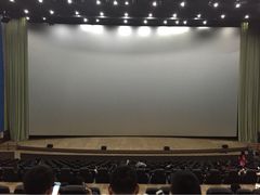 天幕新彩云国际影城-天幕新彩云国际影城(激光巨幕店)