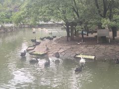 -黔灵山公园