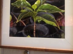 -星巴克(新达汇三林店)