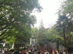 -赭山公园