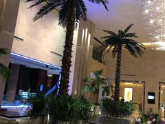 -常州环球恐龙城维景国际大酒店