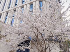 -新虹桥中心大厦