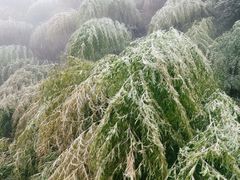 -浙东第一尖雪山欢乐谷