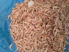 -青岛沙子口国家中心渔港