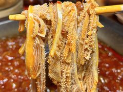 -蜀江龙火锅(339店)