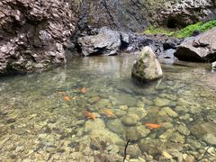 -雁荡山三折瀑景区