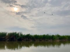 -哈素海