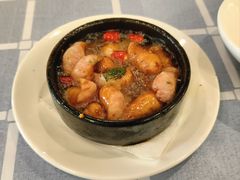 -VITELLO意大利料理(崂山路店)