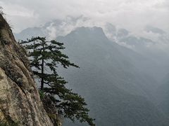 -陕西省红河谷森林公园