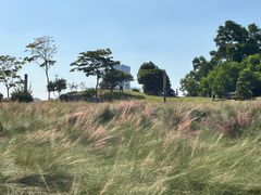 -红花山公园