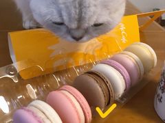 -麦当劳(百利广场店)