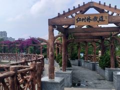 -霞山观海长廊